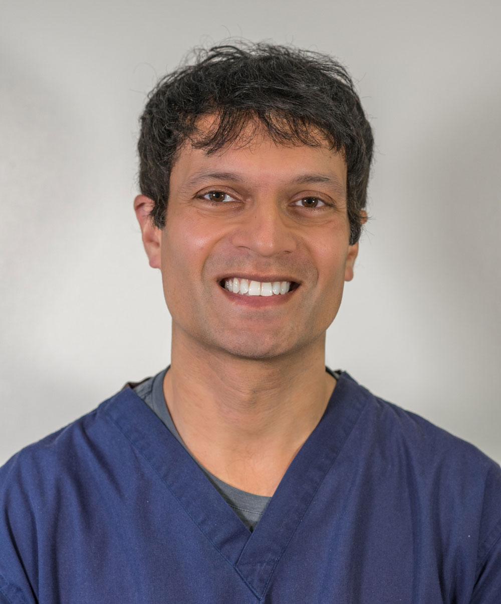 Dr Vinesh Chauhan BDS